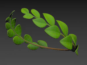 coroa de louros Modelo 3D