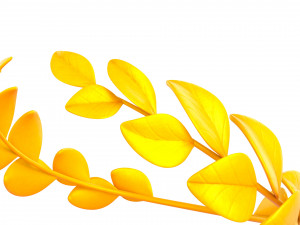 gold laurel wreath 3D 모델