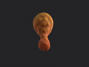 fried chicken 3D Model