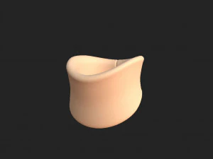 soft collar 3D Model