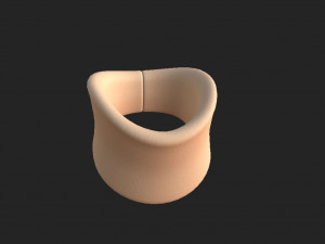 soft collar Modelo 3D