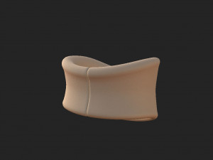 soft collar Modelo 3D