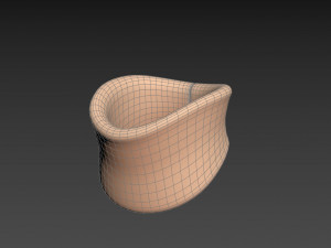 soft collar Modelo 3D