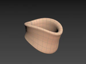 soft collar 3D Model
