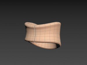 soft collar Modelo 3D