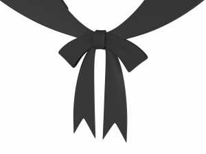 bonnet hat 3D 模型