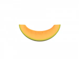sliced melon 3D Model