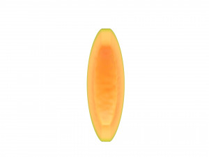 sliced melon 3D 模型