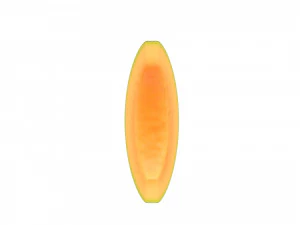 sliced melon 3D Model