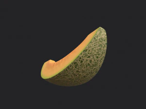 sliced melon 3D Model