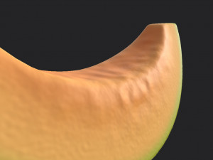 sliced melon 3D 模型
