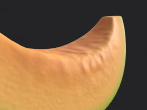 sliced melon 3D Model