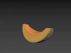 sliced melon 3D Model