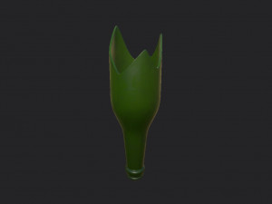 broken bottle 3D Model