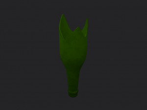 broken bottle 3D Model