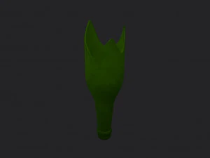 zerbrochene Flasche 3D Modell
