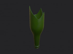 broken bottle 3D Model