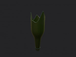 broken bottle 3D Model