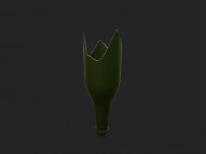 zerbrochene Flasche 3D Modell