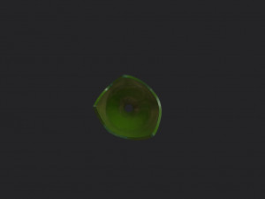 broken bottle 3D Model