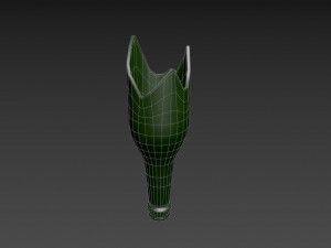 broken bottle 3D Model