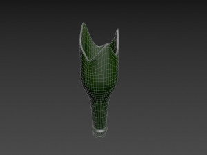 broken bottle 3D Model