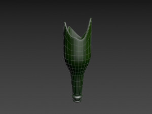 broken bottle 3D Model