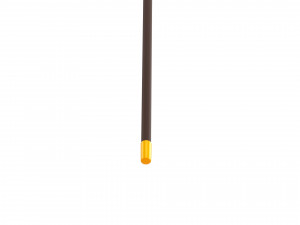 skull walking stick 3D Model