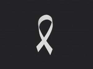 white ribbon 3D Model