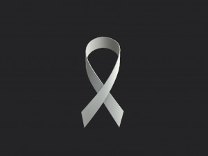 white ribbon 3D मॉडल