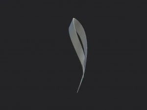 white ribbon 3D Model