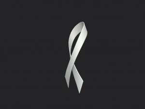 white ribbon 3D Model