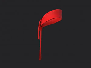 rode sjaal 3D Model