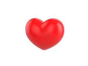 heart 3D Model