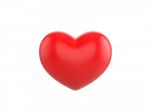 heart 3D Model