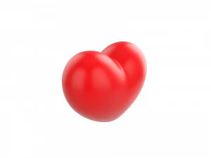 heart 3D Model