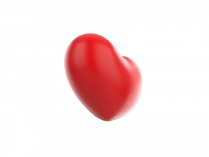 heart 3D Model
