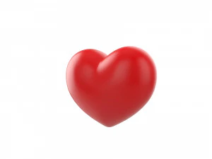 heart 3D Model