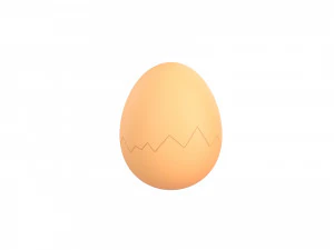 Egg shell 3D Model