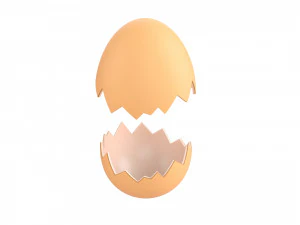 Egg shell 3D Model
