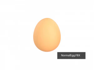 Egg shell 3D Model