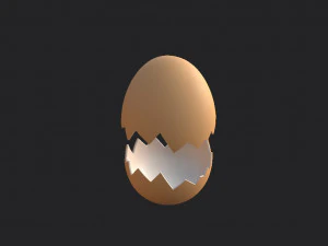 Egg shell 3D Model