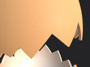 Egg shell 3D Model
