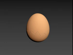 Egg shell 3D Model
