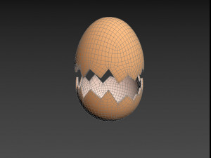 Egg shell 3D-Modell
