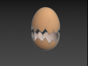 Egg shell 3D-Modell