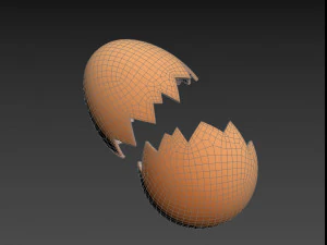 Egg shell 3D Model