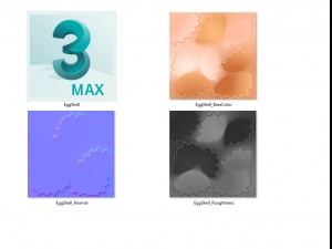 Egg shell 3D-Modell