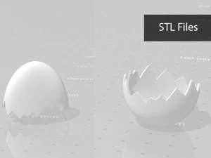 Egg shell 3D Model