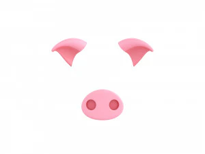 pig face 3D Model
